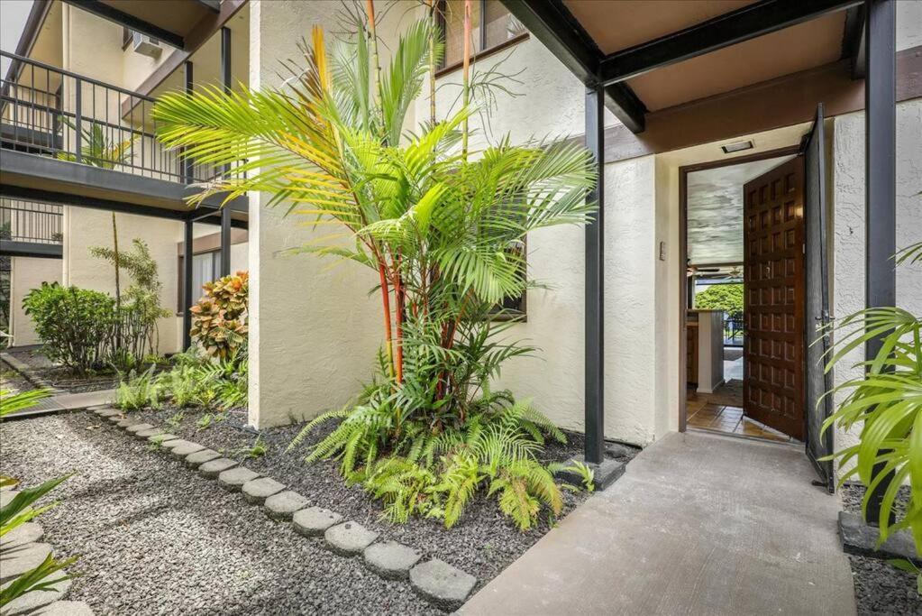 Beautiful 2/2 Condo In Kailua Kona. Ocean View! Eksteriør billede