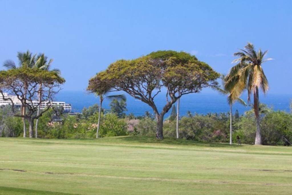 Beautiful 2/2 Condo In Kailua Kona. Ocean View! Eksteriør billede